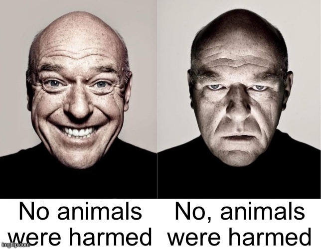 Commas are important, everyone. |  No animals were harmed; No, animals were harmed | image tagged in breaking bad smile frown,memes | made w/ Imgflip meme maker