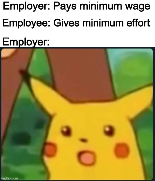 Suprised pikachu | Employer: Pays minimum wage; Employee: Gives minimum effort; Employer: | image tagged in surprised pikachu,memes,funny | made w/ Imgflip meme maker