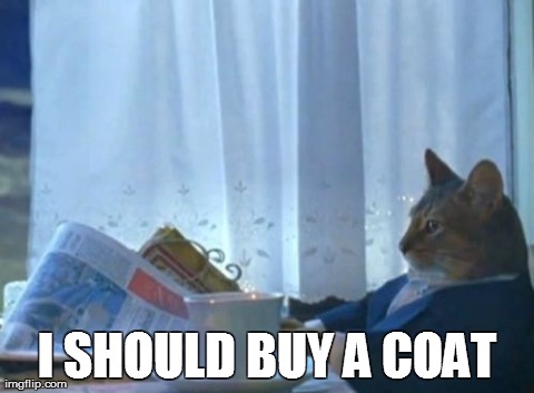 I Should Buy A Boat Cat Meme | I SHOULD BUY A COAT | image tagged in memes,i should buy a boat cat,AdviceAnimals | made w/ Imgflip meme maker