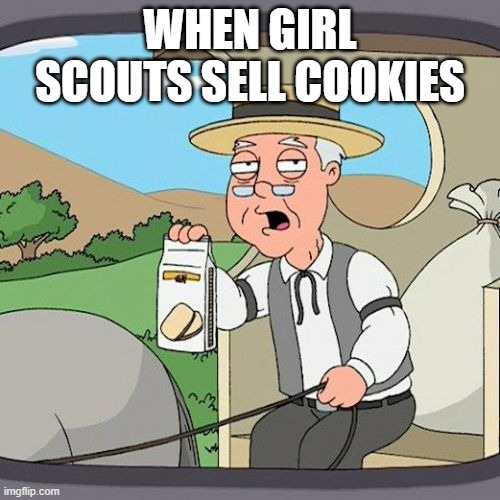 funny memes | WHEN GIRL SCOUTS SELL COOKIES | image tagged in memes,pepperidge farm remembers | made w/ Imgflip meme maker