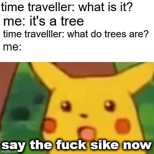 maybe we should stop chopping trees | time traveller: what is it? me: it's a tree; time travelller: what do trees are? me:; say the fuck sike now | image tagged in memes,surprised pikachu | made w/ Imgflip meme maker
