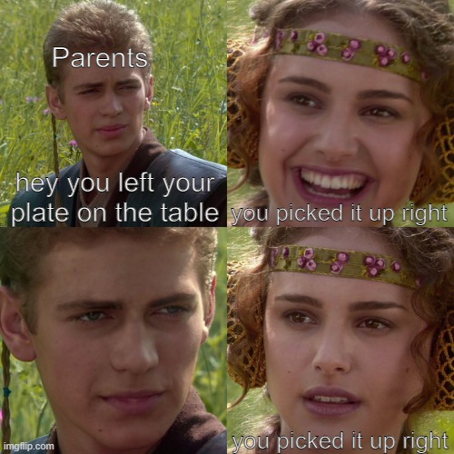 *insert tasteful title here* | Parents; hey you left your plate on the table; you picked it up right; you picked it up right | image tagged in anakin padme 4 panel | made w/ Imgflip meme maker