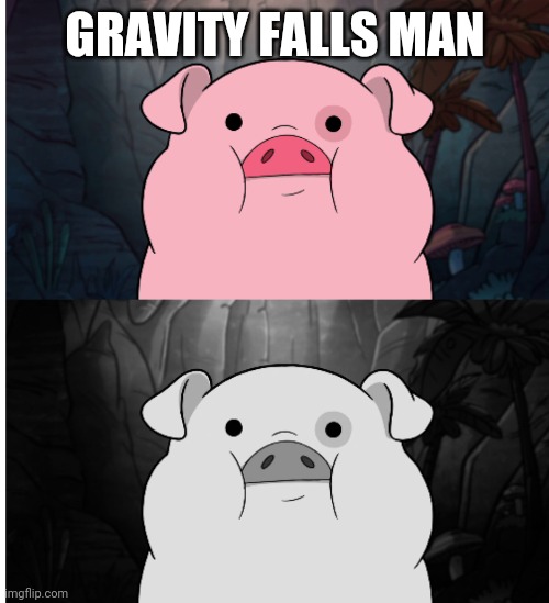 Blank pig sadness | GRAVITY FALLS MAN | image tagged in blank pig sadness | made w/ Imgflip meme maker