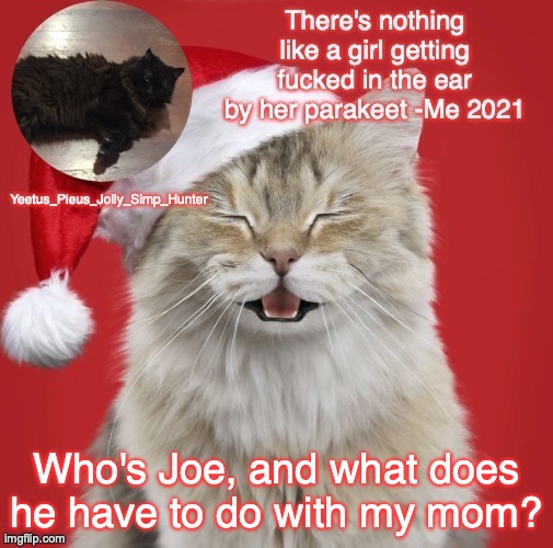 Christmas Template | Who's Joe, and what does he have to do with my mom? | image tagged in christmas template | made w/ Imgflip meme maker