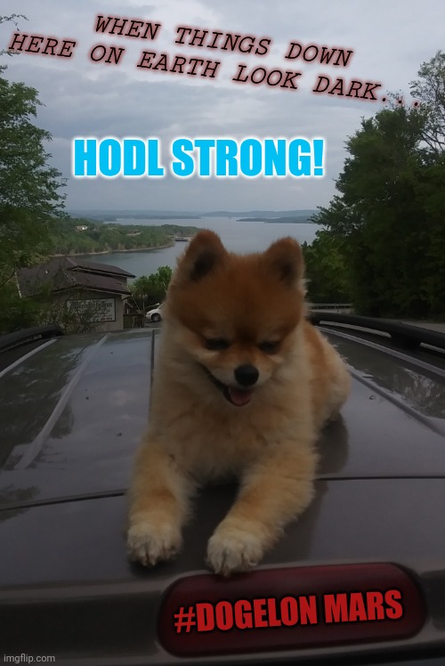 DOG ON IT. | WHEN THINGS DOWN HERE ON EARTH LOOK DARK... HODL STRONG! #DOGELON MARS | image tagged in hodl strong,elon musk,dogecoin,mars,cryptocurrency,the great awakening | made w/ Imgflip meme maker