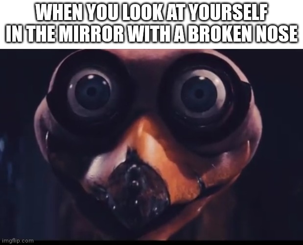 Ozzie Ostrich | WHEN YOU LOOK AT YOURSELF IN THE MIRROR WITH A BROKEN NOSE | image tagged in ozzie ostrich,broken,nose,mirror | made w/ Imgflip meme maker
