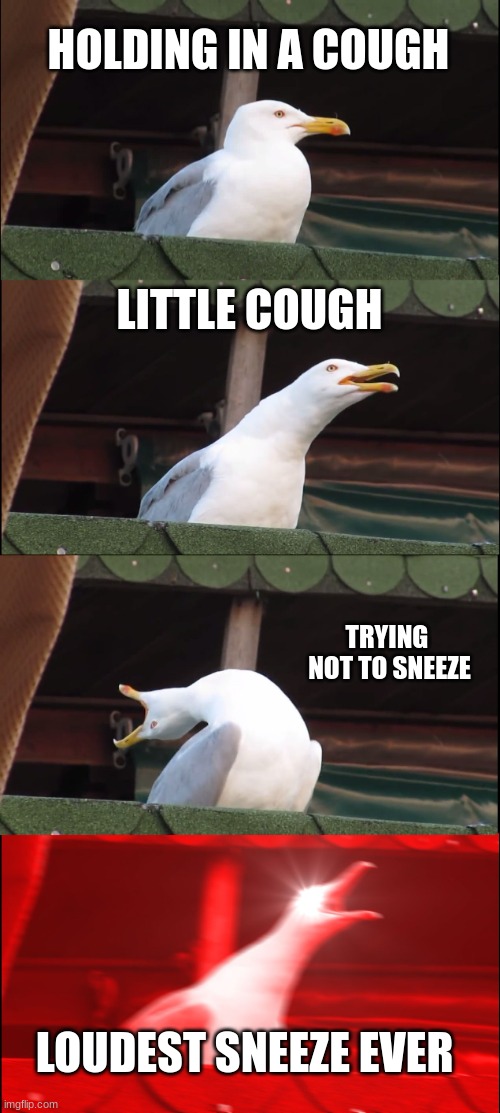 Inhaling Seagull | HOLDING IN A COUGH; LITTLE COUGH; TRYING  NOT TO SNEEZE; LOUDEST SNEEZE EVER | image tagged in memes,inhaling seagull | made w/ Imgflip meme maker