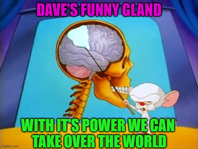 the brain | DAVE'S FUNNY GLAND WITH IT'S POWER WE CAN 
TAKE OVER THE WORLD | image tagged in the brain | made w/ Imgflip meme maker