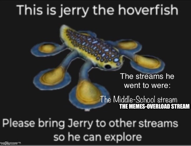 Continue sending this to other streams you know | THE MEMES-OVERLOAD STREAM | image tagged in funny | made w/ Imgflip meme maker