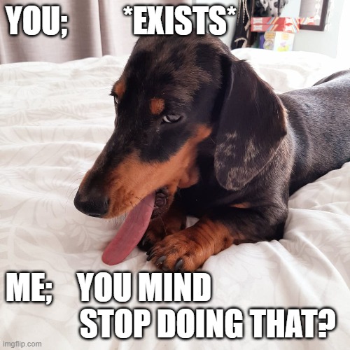 Exist | YOU;         *EXISTS*; ME;    YOU MIND                    STOP DOING THAT? | image tagged in dog,stop | made w/ Imgflip meme maker