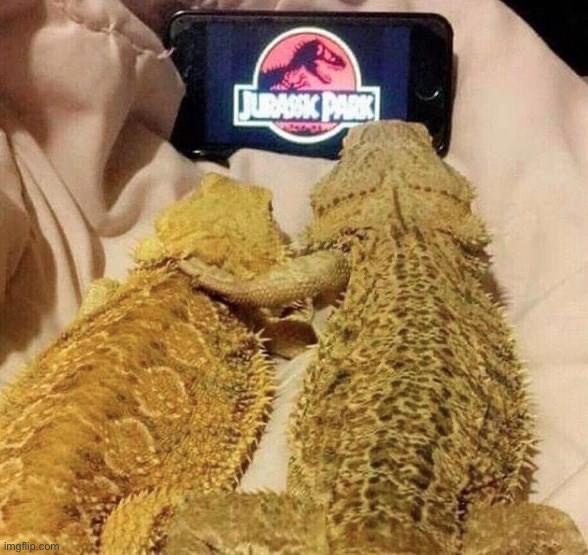 Lizards watching Jurassic Park | image tagged in lizards watching jurassic park | made w/ Imgflip meme maker