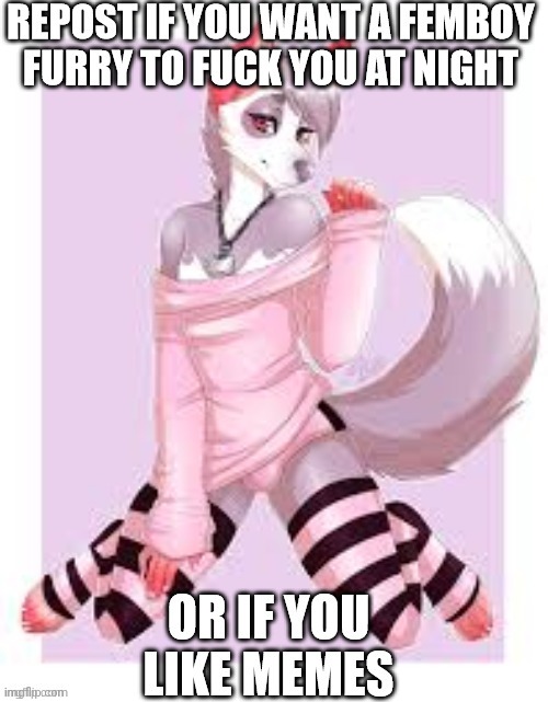 it's the furry | made w/ Imgflip meme maker