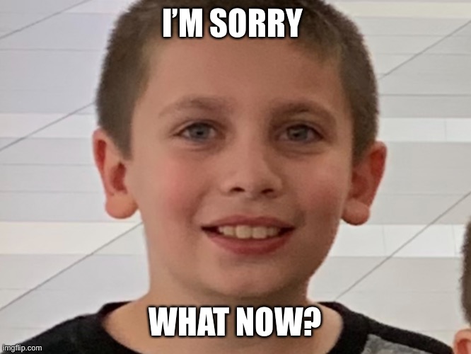 I'm sorry what | I’M SORRY WHAT NOW? | image tagged in i'm sorry what | made w/ Imgflip meme maker