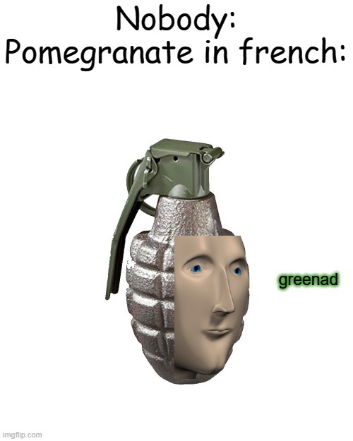 lol | Nobody:
Pomegranate in french:; greenad | image tagged in meme man,grenade,pomegranate,french | made w/ Imgflip meme maker