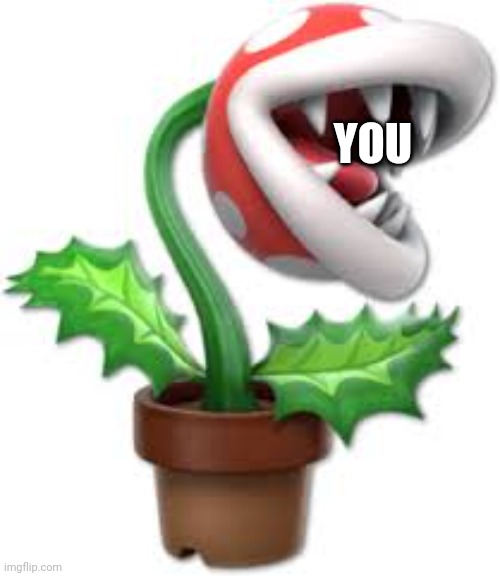 piranha plant | YOU | image tagged in piranha plant | made w/ Imgflip meme maker