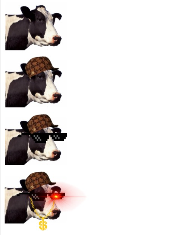 Cow getting cool Blank Meme Template