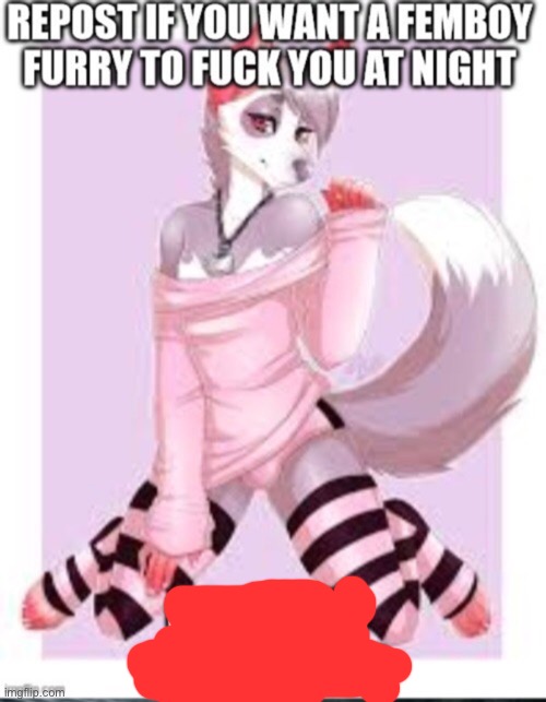 I am the furry femboy | image tagged in furry | made w/ Imgflip meme maker