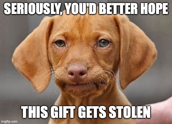 Seriously Dog Hope this Gift Gets Stolen | SERIOUSLY, YOU'D BETTER HOPE; THIS GIFT GETS STOLEN | image tagged in really dog | made w/ Imgflip meme maker