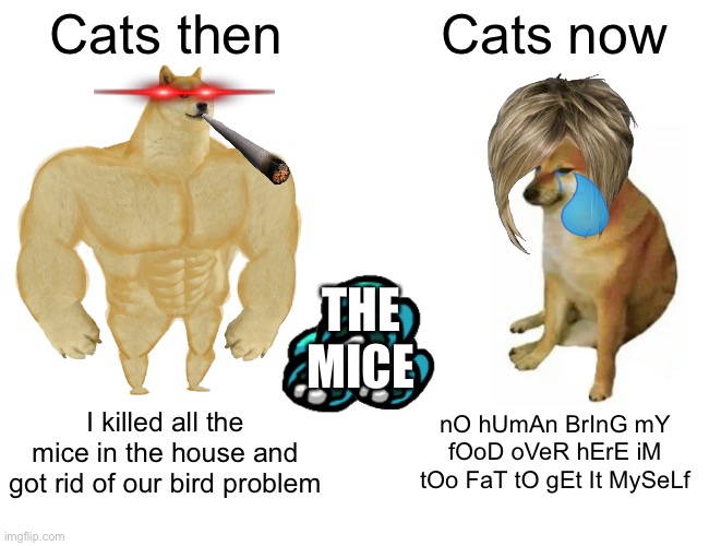 Buff Doge vs. Cheems Meme |  Cats then; Cats now; THE MICE; I killed all the mice in the house and got rid of our bird problem; nO hUmAn BrInG mY fOoD oVeR hErE iM tOo FaT tO gEt It MySeLf | image tagged in memes,buff doge vs cheems | made w/ Imgflip meme maker