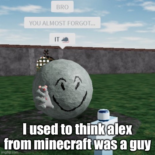 Don’t forget it | I used to think alex from minecraft was a guy | image tagged in don t forget it | made w/ Imgflip meme maker