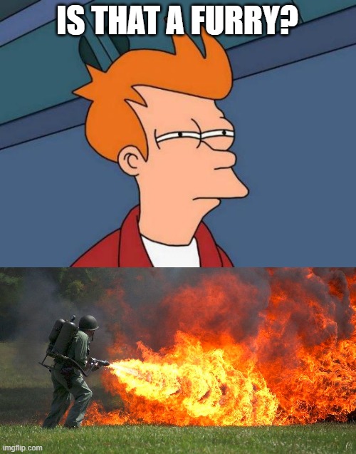 memes funny | IS THAT A FURRY? | image tagged in memes,futurama fry | made w/ Imgflip meme maker