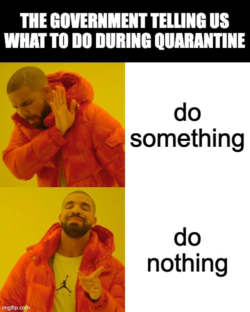 Do something | THE GOVERNMENT TELLING US WHAT TO DO DURING QUARANTINE; do something; do nothing | image tagged in memes,drake hotline bling | made w/ Imgflip meme maker