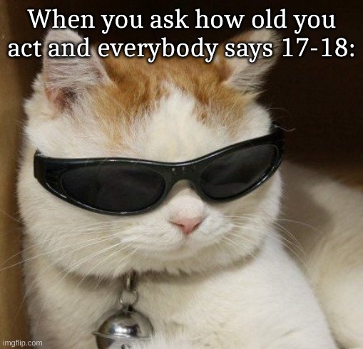 cat in sunglasses | When you ask how old you act and everybody says 17-18: | image tagged in cat in sunglasses | made w/ Imgflip meme maker