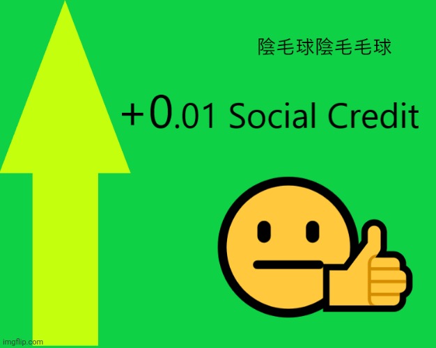 +0.01 Social credit | image tagged in 0 01 social credit | made w/ Imgflip meme maker