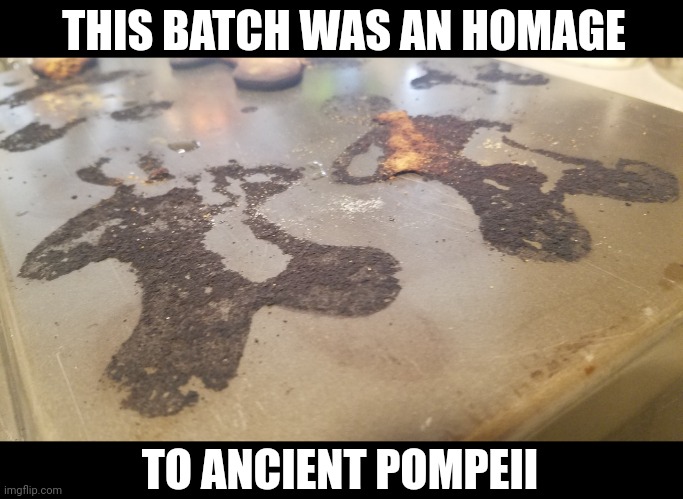 No, I didn't burn them | THIS BATCH WAS AN HOMAGE; TO ANCIENT POMPEII | image tagged in rekt to ashes,burn,burned,pompeii,dark,too soon | made w/ Imgflip meme maker