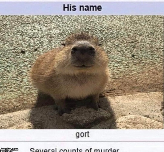 gort | made w/ Imgflip meme maker