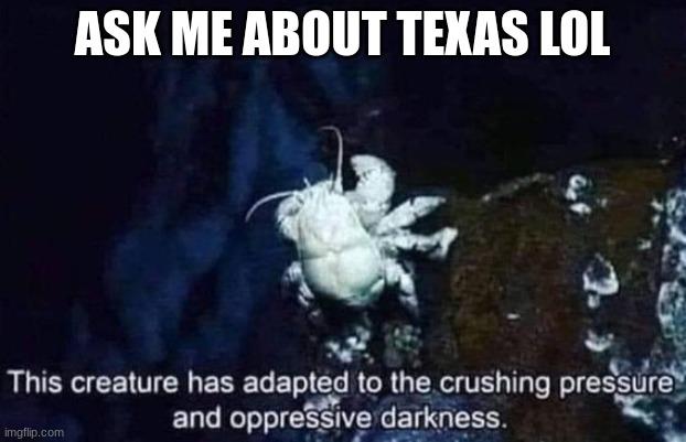 This creature has adapted to the crushing pressure | ASK ME ABOUT TEXAS LOL | image tagged in this creature has adapted to the crushing pressure | made w/ Imgflip meme maker
