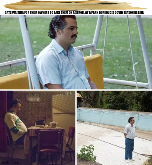 Sad Pablo Escobar | CATS WAITING FOR THEIR OWNERS TO TAKE THEM ON A STROLL AT A PARK DURING DIS COVID SEASON BE LIKE: | image tagged in memes,kitten,miss | made w/ Imgflip meme maker