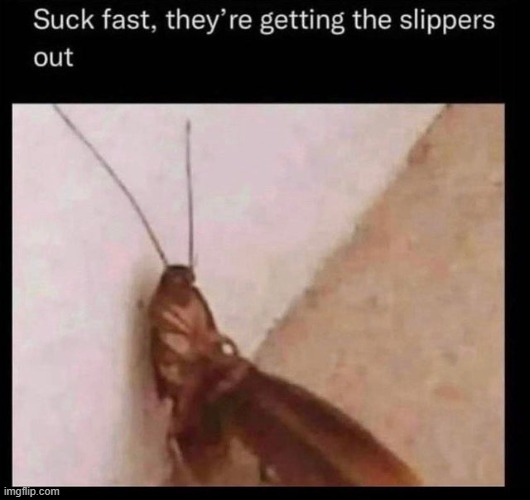 roachcock | made w/ Imgflip meme maker