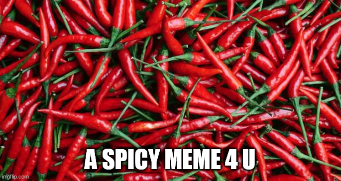Spicy | A SPICY MEME 4 U | image tagged in spicy | made w/ Imgflip meme maker