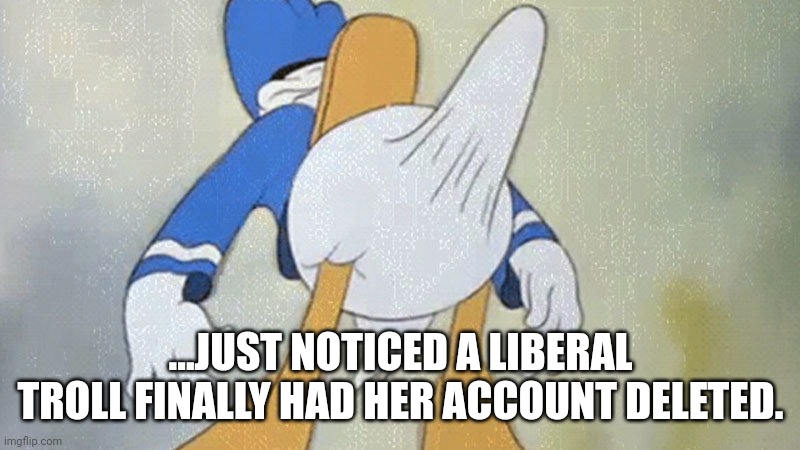 ssaayyoonnaarraa | ...JUST NOTICED A LIBERAL TROLL FINALLY HAD HER ACCOUNT DELETED. | image tagged in donald duck boner,triggered liberal | made w/ Imgflip meme maker