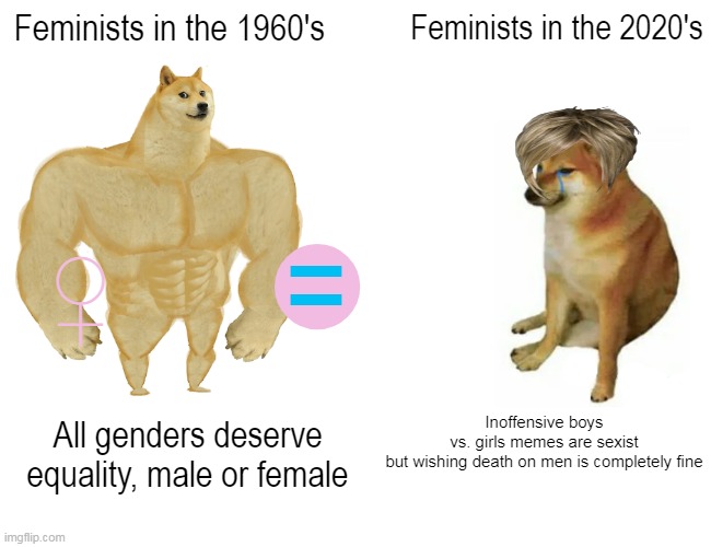 Feminists need to chill because making inoffensive memes does not make you a misogynist. #FeministsNeed2Chill | Feminists in the 1960's; Feminists in the 2020's; •; =; ♀; Inoffensive boys vs. girls memes are sexist
but wishing death on men is completely fine; All genders deserve equality, male or female | image tagged in memes,buff doge vs cheems,feminist,feminism,then vs now,feminists need to chill | made w/ Imgflip meme maker