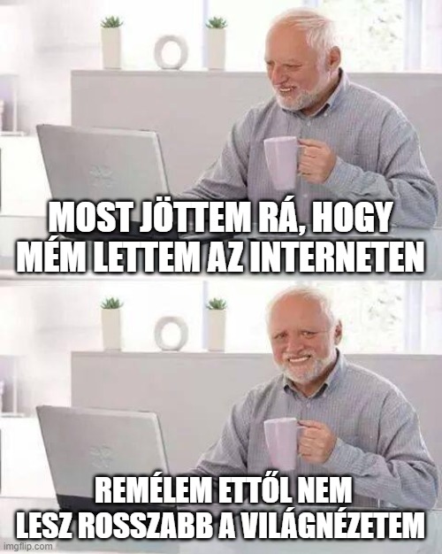 nobody will get this | MOST JÖTTEM RÁ, HOGY MÉM LETTEM AZ INTERNETEN; REMÉLEM ETTŐL NEM LESZ ROSSZABB A VILÁGNÉZETEM | made w/ Imgflip meme maker