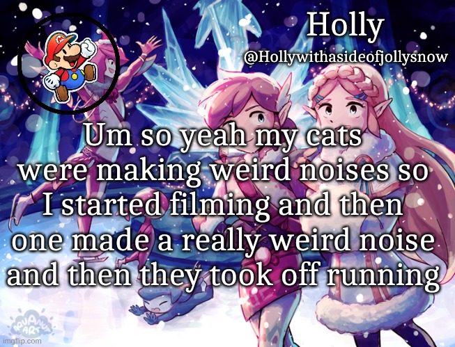 Caught on video | Um so yeah my cats were making weird noises so I started filming and then one made a really weird noise and then they took off running | image tagged in holly christmas announcement | made w/ Imgflip meme maker