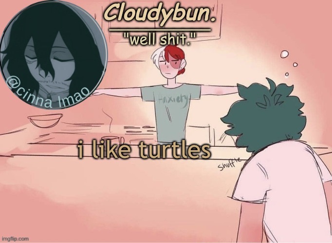 cinnas temp :D | i like turtles | image tagged in cinnas temp d | made w/ Imgflip meme maker