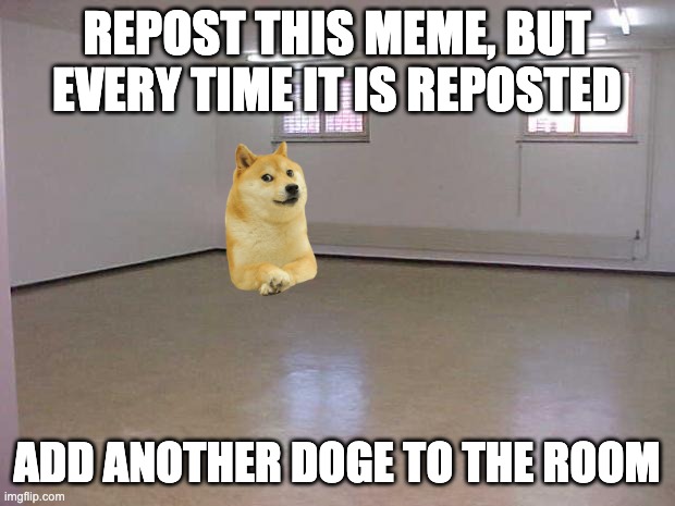 Doge room of doom | REPOST THIS MEME, BUT EVERY TIME IT IS REPOSTED; ADD ANOTHER DOGE TO THE ROOM | image tagged in empty room,doge,chain letters | made w/ Imgflip meme maker