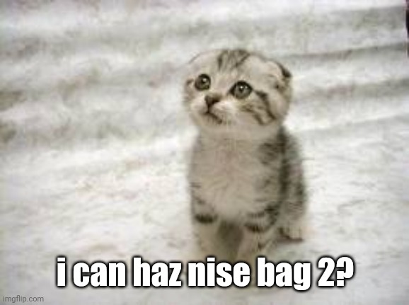 Sad Cat Meme | i can haz nise bag 2? | image tagged in memes,sad cat | made w/ Imgflip meme maker