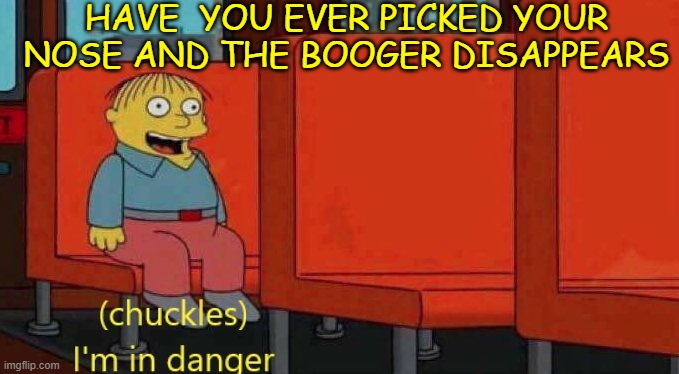 BOOGEY | HAVE  YOU EVER PICKED YOUR NOSE AND THE BOOGER DISAPPEARS | image tagged in chuckles i'm in danger simpsons meme,memes,funny | made w/ Imgflip meme maker