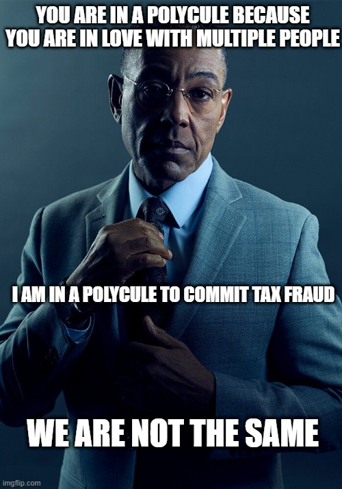 Gus Fring we are not the same | YOU ARE IN A POLYCULE BECAUSE YOU ARE IN LOVE WITH MULTIPLE PEOPLE; I AM IN A POLYCULE TO COMMIT TAX FRAUD; WE ARE NOT THE SAME | image tagged in gus fring we are not the same | made w/ Imgflip meme maker