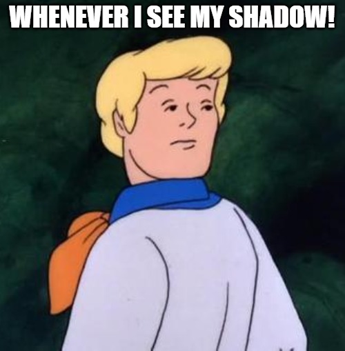 scarry!! | WHENEVER I SEE MY SHADOW! | image tagged in someone questions me about splitting the,scooby doo | made w/ Imgflip meme maker