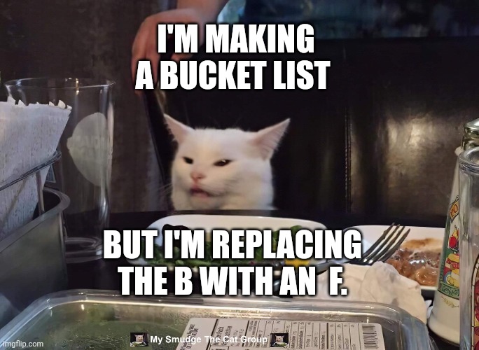 I'M MAKING A BUCKET LIST; BUT I'M REPLACING THE B WITH AN  F. | image tagged in smudge the cat | made w/ Imgflip meme maker