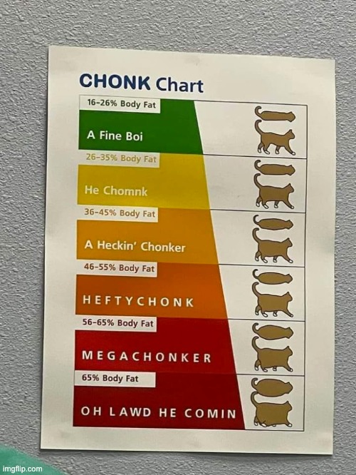 c h o n k y | image tagged in memes,unfunny | made w/ Imgflip meme maker