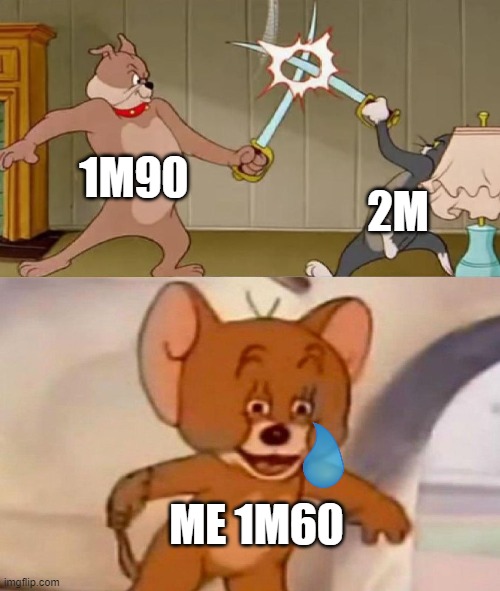 Tom and Jerry swordfight | 1M90; 2M; ME 1M60 | image tagged in tom and jerry swordfight | made w/ Imgflip meme maker