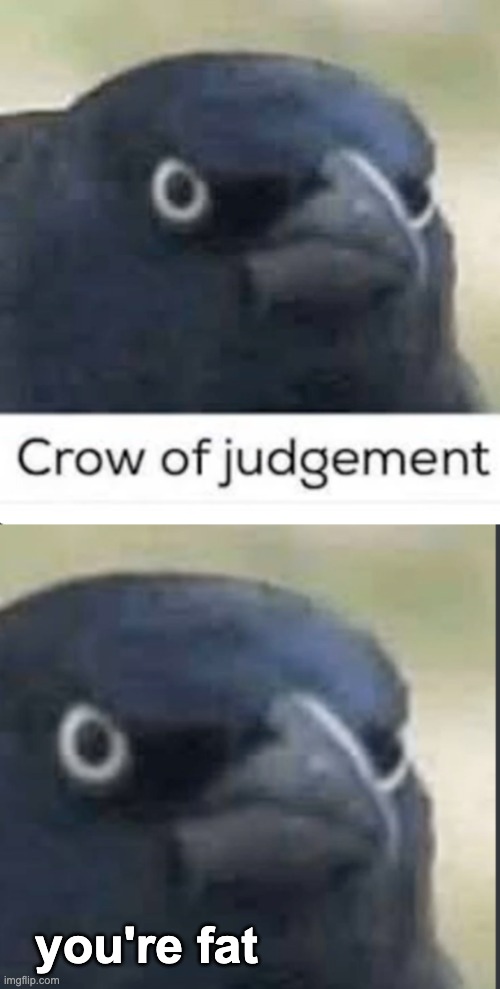 Why Crow Why Imgflip