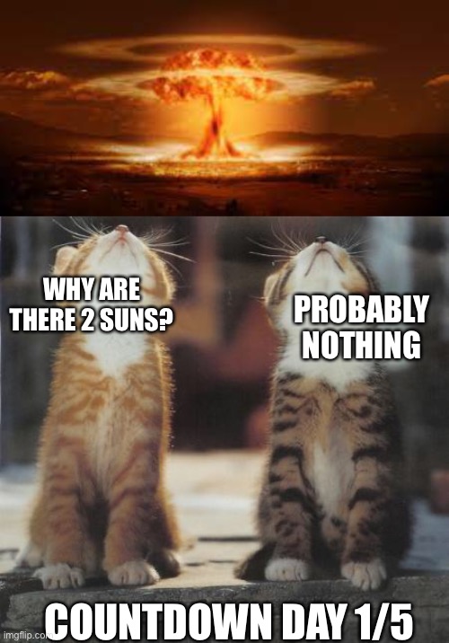 PROBABLY NOTHING; WHY ARE THERE 2 SUNS? COUNTDOWN DAY 1/5 | image tagged in cats looking up | made w/ Imgflip meme maker