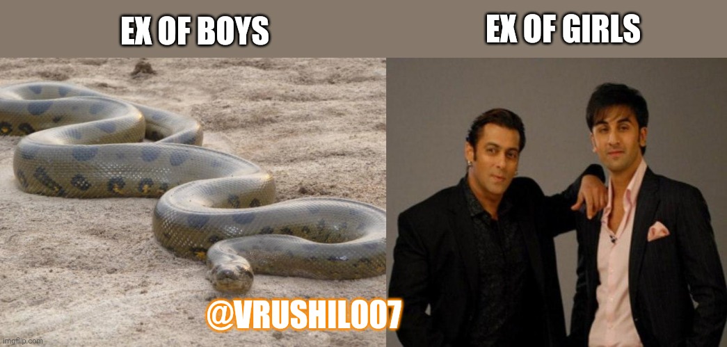 EX OF BOYS; EX OF GIRLS; @VRUSHIL007 | image tagged in anaconda,salman khan ranbir kapoor | made w/ Imgflip meme maker